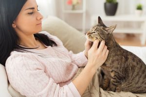 Se hai degli animali domestici in casa devi assolutamente seguire questi 10 consigli