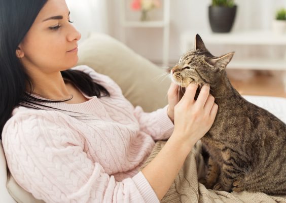 Se hai degli animali domestici in casa devi assolutamente seguire questi 10 consigli