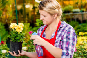 4 insetticidi naturali da preparare in casa