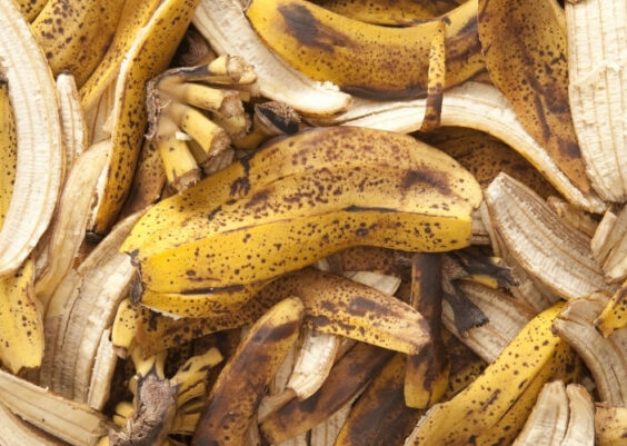 10 motivi per non buttare le bucce di banana