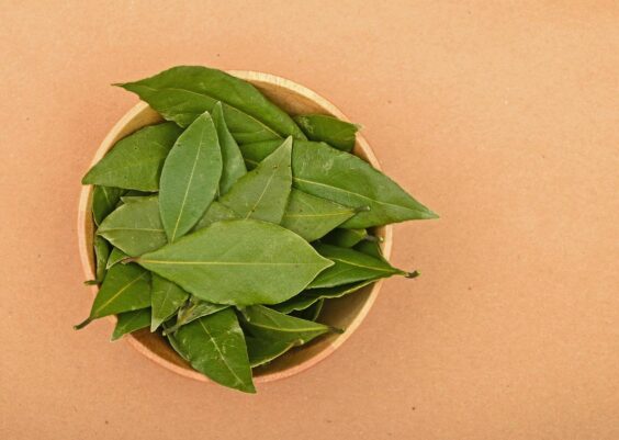 Come eliminare i cattivi odori in casa con 3 foglie di alloro