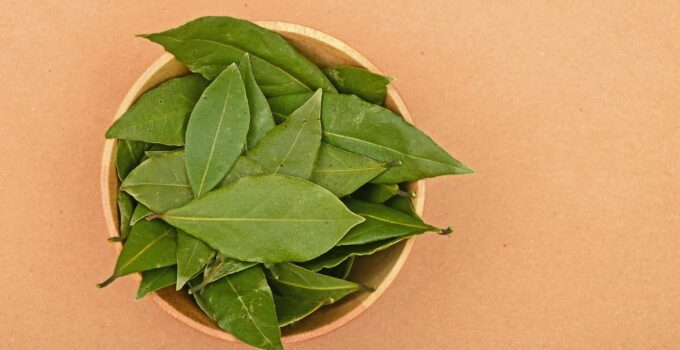 Come eliminare i cattivi odori in casa con 3 foglie di alloro