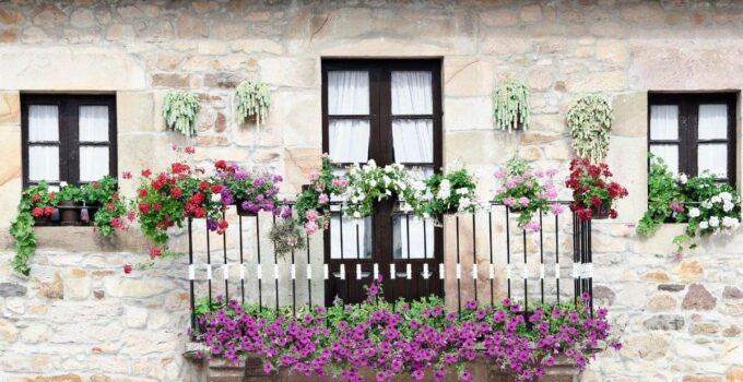 Piante Perenni da Balcone: Quali sono le Migliori e Come Curarle