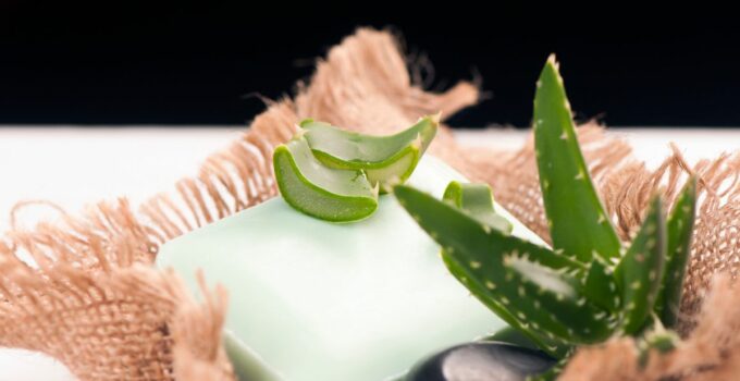 Come preparare un sapone di aloe vera a casa